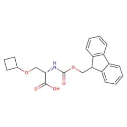 STA PHARMACEUTICAL US LLC&nbsp;Fmoc-L-Ser(O-Cyclobutyl)-OH | 5 g | CAS 2642331-49-3 | InChIKey KMDFHULRLPLDGQ-FQEVSTJZSA-N