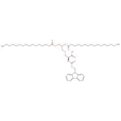 STA PHARMACEUTICAL US LLC&nbsp;Fmoc-(S)Pam2-Cys | 10 g | CAS 139573-78-7 | MDL MFCD30742871