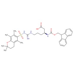 STA PHARMACEUTICAL US LLC&nbsp;Fmoc-L-β-homoarginine(Pmc) | 10 g | CAS 700377-76-0 | MDL MFCD03788172