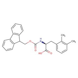 STA PHARMACEUTICAL US LLC&nbsp;Fmoc-L-2,3-Dimethylphe | 1 g | CAS 1270295-08-3 | MDL MFCD09842054