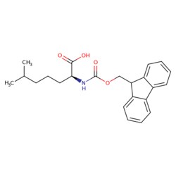 STA PHARMACEUTICAL US LLC WuXi TIDES Fmoc-L-2-amino-6-methyl-heptanoic