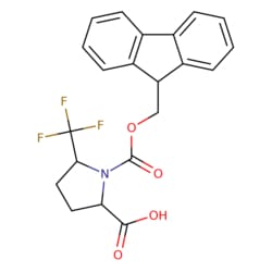 STA PHARMACEUTICAL US LLC&nbsp;1-{[(9H-fluoren-9-yl)methoxy]carbonyl}-5-(trifluoromethyl)pyrrolidine-2-carboxylic acid | 10 g | CAS 1922861-03-7 | MDL MFCD28389192