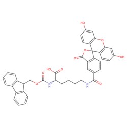 STA PHARMACEUTICAL US LLC&nbsp;Fmoc-L-Lys(5-FAM)-OH | 100 g | CAS 1242933-88-5 | MDL MFCD03787910