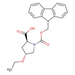 STA PHARMACEUTICAL US LLC&nbsp;(2S,4R)-1-(((9H-fluoren-9-yl)methoxy)carbonyl)-4-ethoxypyrrolidine-2-carboxylic acid | 1 g | CAS 1446478-31-4 | MDL MFCD31730305