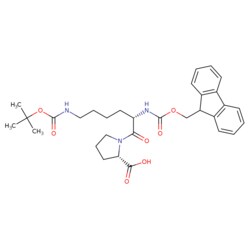 STA PHARMACEUTICAL US LLC&nbsp;Fmoc-L-Lys(Boc)-L-Pro-OH | 5 g | CAS 130445-10-2 | MDL MFCD18427305