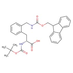 STA PHARMACEUTICAL US LLC&nbsp;Boc-D-2-AminomethylPhe(Fmoc) | 25 g | CAS 1212895-19-6 | MDL MFCD06659122