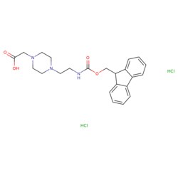 STA PHARMACEUTICAL US LLC&nbsp;4-[2-(Fmoc-amino)ethyl]piperazin-1-ylacetic acid dihydrochloride | 5 g | CAS 204320-65-0 | MDL MFCD00673781