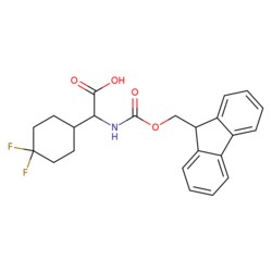 STA PHARMACEUTICAL US LLC&nbsp;2-((((9H-fluoren-9-yl)methoxy)carbonyl)amino)-2-(4,4-difluorocyclohexyl)acetic acid | 25 g | CAS 2279457-71-3 | InChIKey UFHACDQPDBSWER-UHFFFAOYSA-N