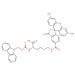 STA PHARMACEUTICAL US LLC&nbsp;Fmoc-L-Lys(5-FAM)-OH | 50 g | CAS 1242933-88-5 | MDL MFCD03787910