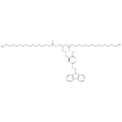 STA PHARMACEUTICAL US LLC&nbsp;Fmoc-S-[2,3-bis(palmitoyloxy)propyl]-L-cysteine | 50 g | CAS 210532-98-2 | InChIKey HNJKCVLFJLXANK-IYXDIJEESA-N