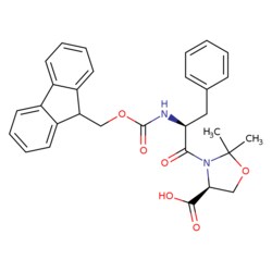 STA PHARMACEUTICAL US LLC&nbsp;Fmoc-L-Phe-L-Ser[PSI(Me,Me)Pro]-OH | 10 g | CAS 878797-01-4 | InChIKey PQJUKTSKOYOXMZ-UIOOFZCWSA-N