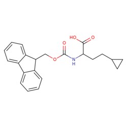 STA PHARMACEUTICAL US LLC&nbsp;2-(Fmoc-amino)-4-cyclopropylbutanoic acid | 10 g | CAS 1694007-54-9 | InChIKey RFARSMCKSWZMRL-UHFFFAOYSA-N