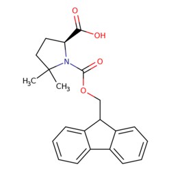 STA PHARMACEUTICAL US LLC Fmoc-5,5-Dimethyl-L-Proline | 5 g | CAS 1310680-23-9