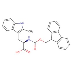 STA PHARMACEUTICAL US LLC&nbsp;Fmoc-D-2-Me-Trp-OH | 10 g | CAS 196808-79-4 | MDL MFCD07366896