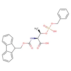 STA PHARMACEUTICAL US LLC&nbsp;Fmoc-L-Thr[PO(OBzl)OH]-OH | 10 g | CAS 175291-56-2 | MDL MFCD00797870