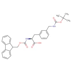 STA PHARMACEUTICAL US LLC&nbsp;Fmoc-L-3-Aminomethylphe(Boc) | 10 g | CAS 266999-24-0 | MDL MFCD01860734