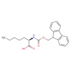 STA PHARMACEUTICAL US LLC&nbsp;(R)-2-(Fmoc-amino)heptanoic acid | 25 g | CAS 1629051-80-4 | MDL MFCD08275893