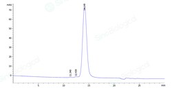 Sino Biological Recombinant Human B7-H2/ICOSLG Protein (ECD, ICOS ligand),