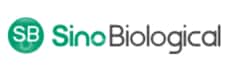 Sino Biological Mouse EpCAM PAb 100ul (Sino Biological), Quantity: Each