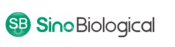 Human ECM1 ELISA Pair Set 15PP (Sino Biological)