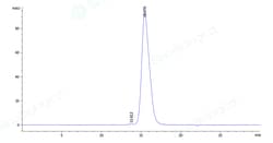 Sino Biological Mouse CD63 Protein 100ug (Sino Biological), Quantity: Each