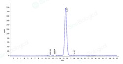 Sino Biological Recombinant Mouse EphA2 Protein (His & AVI Tag), Biotinylated,