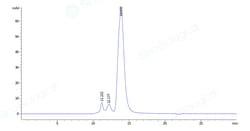 Sino Biological Mouse B4GALT1 Protein 100ug (Sino Biological), Quantity: