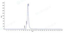Sino Biological Human APCS Protein 50ug (Sino Biological), Quantity: Each