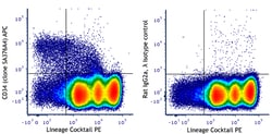 Biolegend APC anti-mouse CD34 [SA376A4]; Isotype: Rat IgG2a, λ; Reactivity: