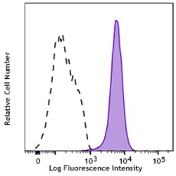 Biolegend Purified anti-human CD144 Recombinant [QA20A44]; Isotype: Mouse