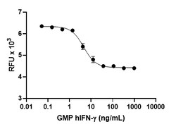 Biolegend GMP Recombinant Human IFN-γ (carrier-free) Reactivity: Human;