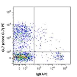 Biolegend PE anti-MU/HU GL7 Antigen (T/B Cell Act. Marker) [GL7]; Isotype: