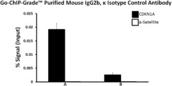 Biolegend Purified Mouse IgG2b, κ Isotype Ctrl [27-35]; Isotype: Mouse