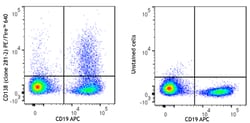 Biolegend PE/Fire 640 anti-mouse CD138 (Syndecan-1) [281-2]; Isotype: Rat