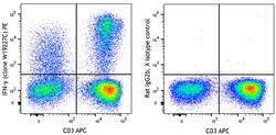 Biolegend PE anti-human IFN-γ [W19227C]; Isotype: Rat IgG2b, λ; Reactivity: