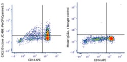 Biolegend PerCP/Cyanine5.5 anti-human CXCL10 (IP-10) [J034D6]; Isotype: