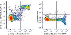 Biolegend PE/Fire 640 anti-mouse/human CD11b [M1/70]; Isotype: Rat IgG2b,