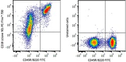 Biolegend PE/Fire 700 anti-mouse CD38 [90]; Isotype: Rat IgG2a, κ; Reactivity: