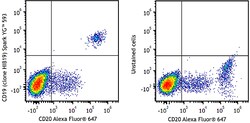 Biolegend Spark YG 593 anti-human CD19 [HIB19]; Isotype: Mouse IgG1, κ;