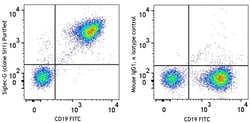 Biolegend Purified anti-mouse Siglec-G [SH1]; Isotype: Mouse IgG1, κ; Reactivity: