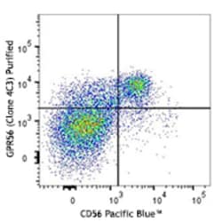 Biolegend Purified anti-human GPR56 [4C3]; Isotype: Mouse IgG1, κ; Reactivity: