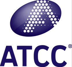 ATCC&nbsp;Methylorubrum extorquens