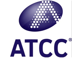 ATCC&nbsp;Human adenovirus 1; Strain: Adenoid 71