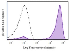 Biolegend GMP Ultra-LEAF Biotin anti-human CD3 SF [OKT3]; Isotype: Mouse