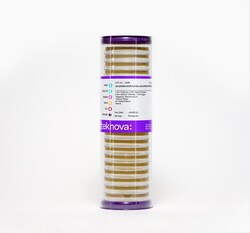 Teknova LB Lennox Agar Plates with Spectinomycin-100. 100mm, 20 Plates