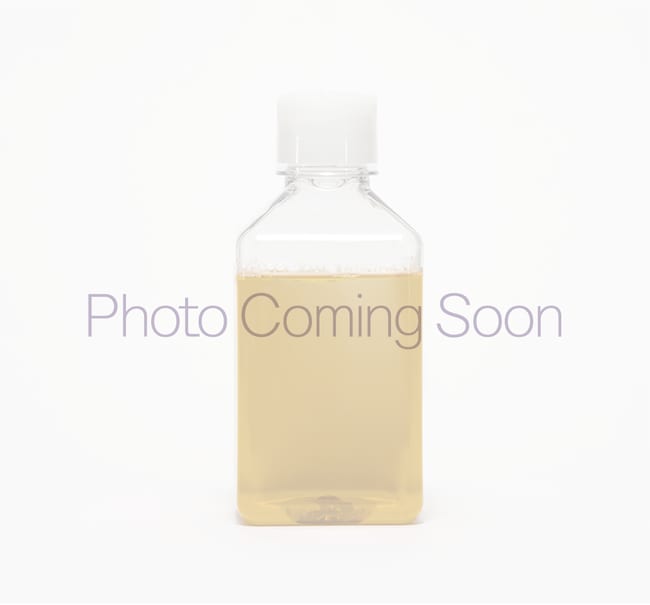 トリートメント ReFa ION MINERAL TREATMENT 1000ml ReFa ION CARE TREATMENT | ReFa | MTG Co., Ltd.