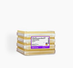 Teknova&nbsp;2XYT Agar Plates with 2% Glucose and Ampicillin-100. 245mm, 4 Plates per Sleeve, Sterile. 8 Pack.