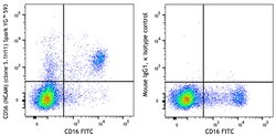 Biolegend Spark YG 593 anti-human CD56 (NCAM) [5.1H11]; Isotype: Mouse