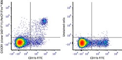 Biolegend PerCP/Fire 806 anti-mouse CX3CR1 [SA011F11]; Isotype: Mouse IgG2a,