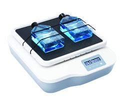 Research Products International Corp&nbsp;LED Digital See-Saw Rocker